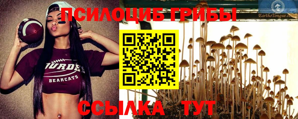 Галлюциногенные грибы прущие грибы  Вход с VPN  Северск  наркотики  Галлюциногенные грибы GOLDEN TEACHER 