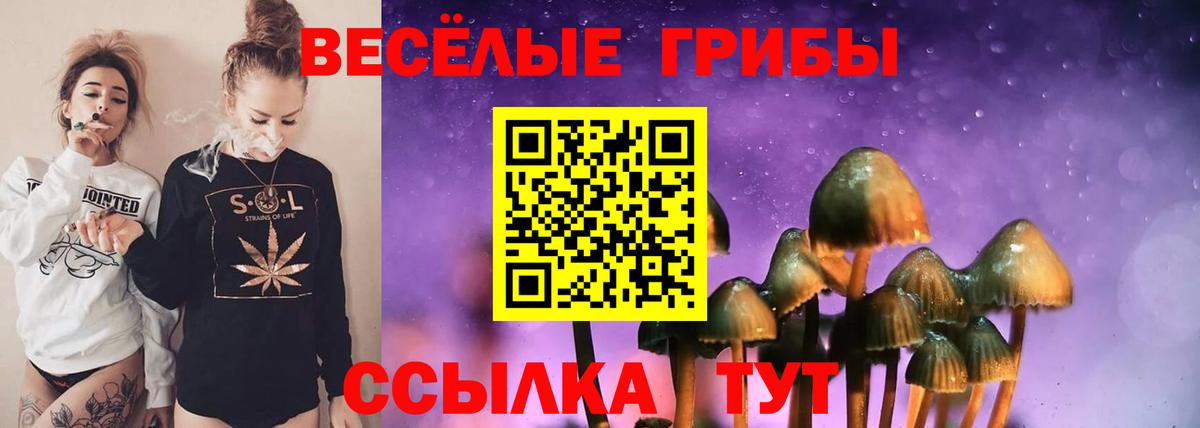 Галлюциногенные грибы GOLDEN TEACHER Северск