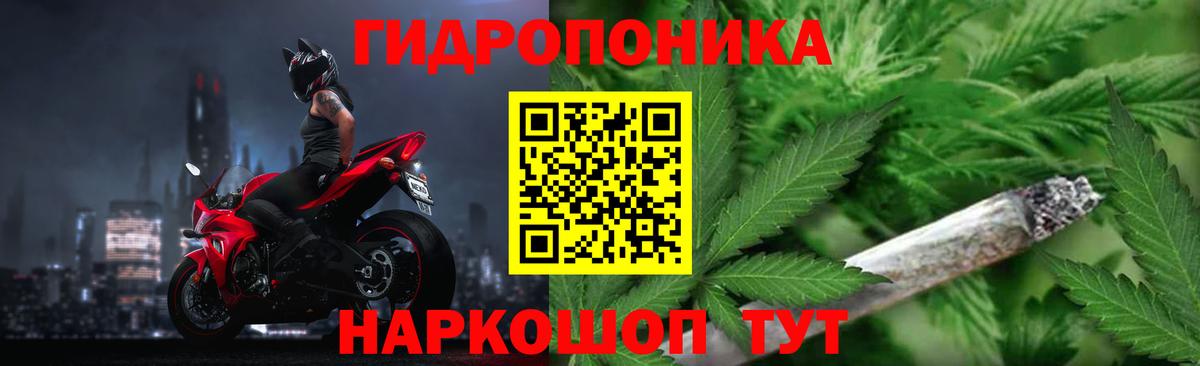 Бошки Шишки Bruce Banner Северск